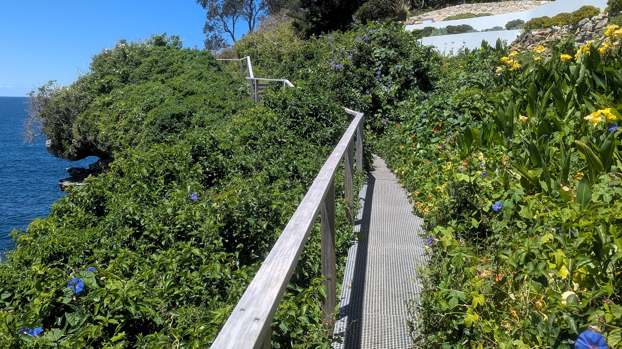 dy_curlcurl track (5)